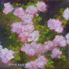 Champney's Pink Cluster