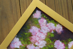 Champney's Pink Cluster