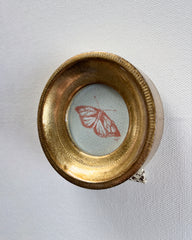 Conté Buttefly