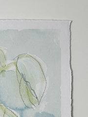 Wild Orchid No. 5