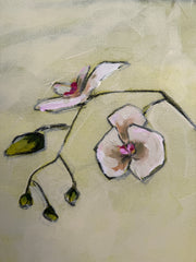Orchid Study