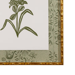 Botanical 27