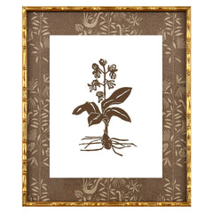 Botanical 39A