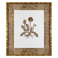 Botanical 52B