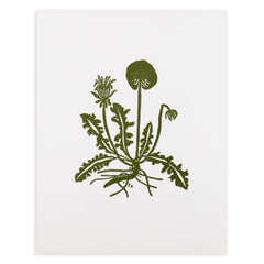 Botanical 52