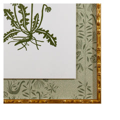 Botanical 52