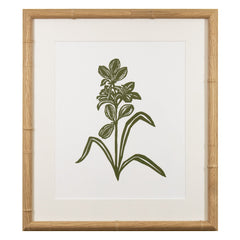 Botanical 61