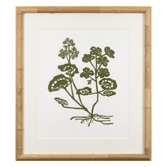 Botanical 65