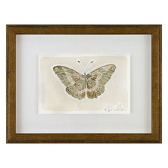 Butterflies 013