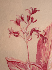 Cana Lily