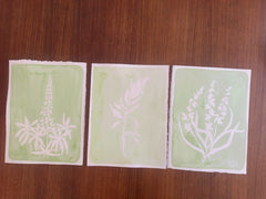 Green Fern
