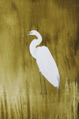 Marshlight