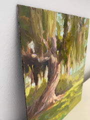 Mepkin Twisty Tree