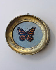 Monarch on Blue