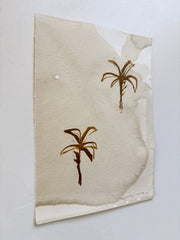 Palms on Coffee VI