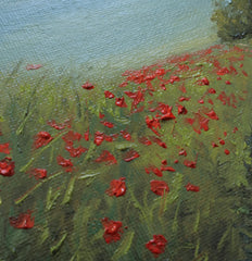 Poppy Lined Path
