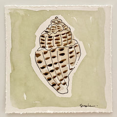 Mini Shell No. 1