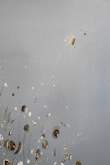 Saltflat