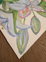 Harvest Lily II