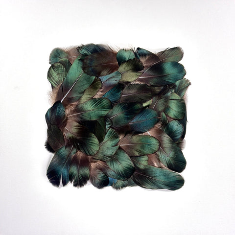 Luminous Feather Field