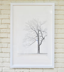 Psalm 86; Steadfast Love 1