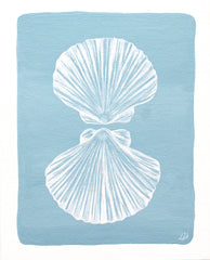 Shell Reflection