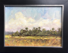 Palmetto Skyline- Tammy Medlin