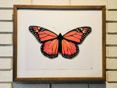 Butterfly Study 2