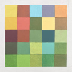 Grid Study (Fall Field)