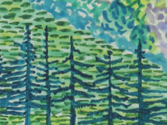 View From Martin's Mountain