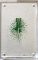 Quail Feather Green