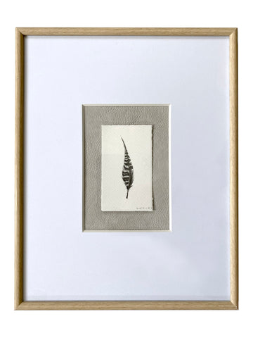 Sage Grouse Feather on Leather