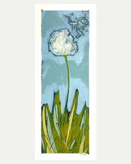 Blue Wishy Puff 5