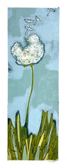 Blue Wishy Puff 6