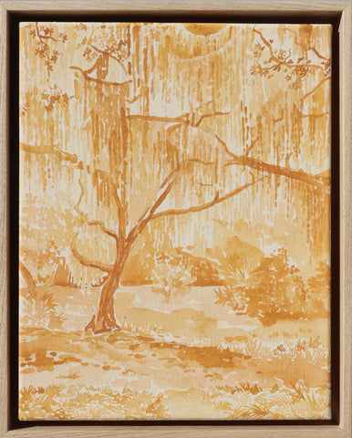 Canopy