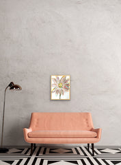 Flower Colors