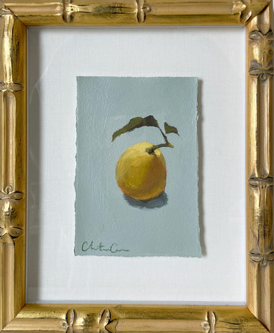 Citrus Study 37