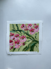 Orchid Study