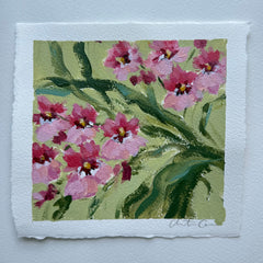 Orchid Study