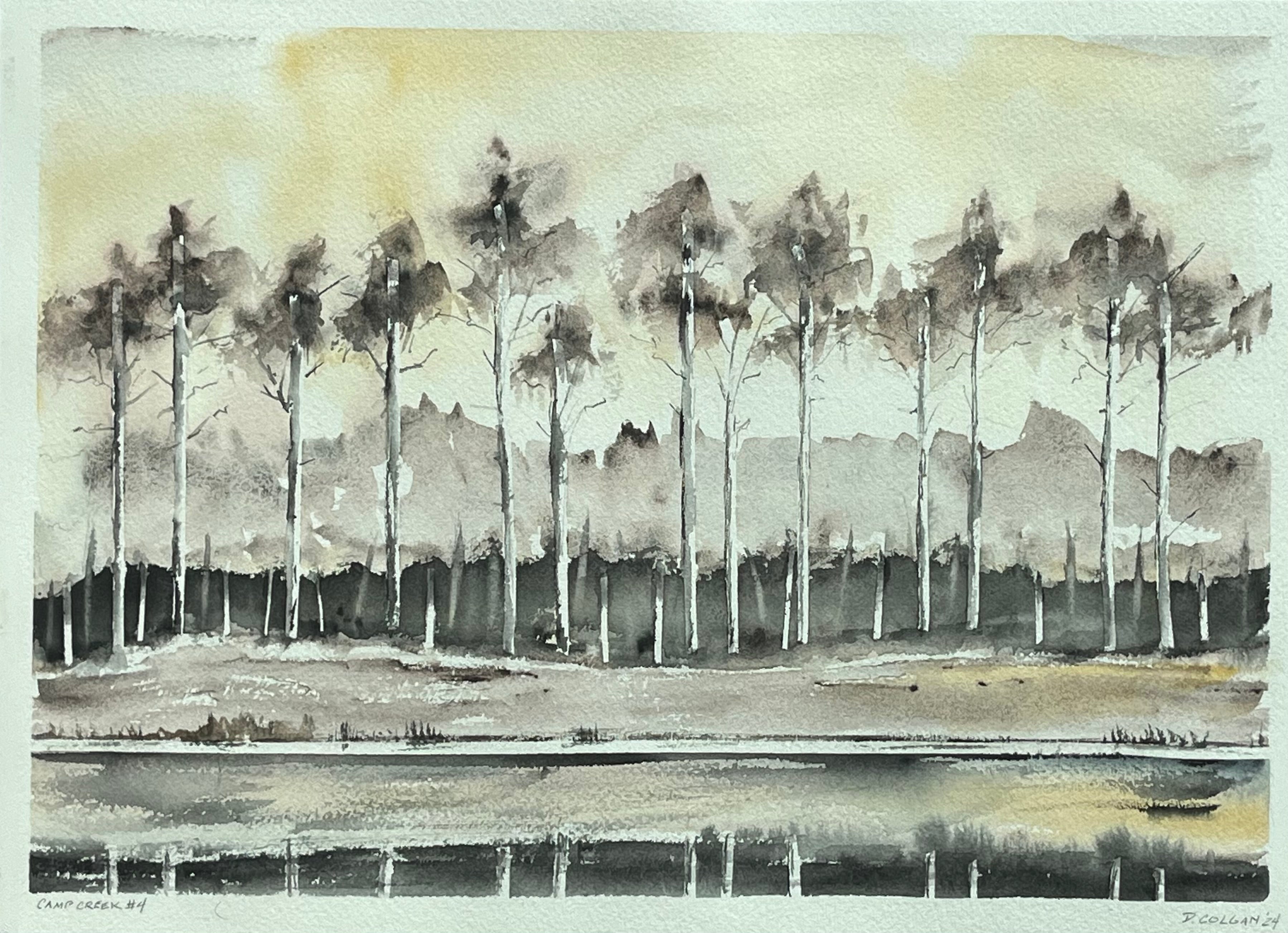Camp Creek #4