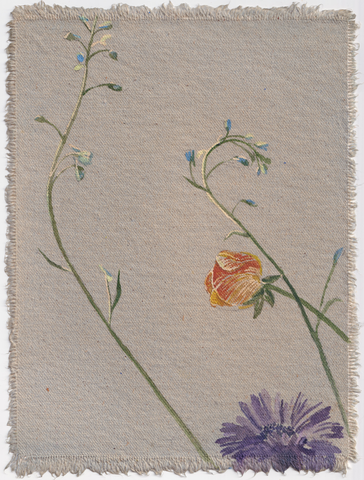 Delphinium Sprout