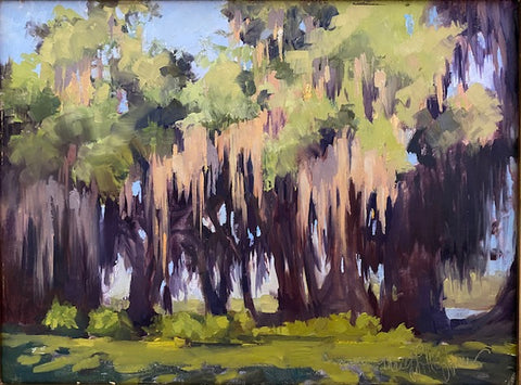 Draped in the Morning