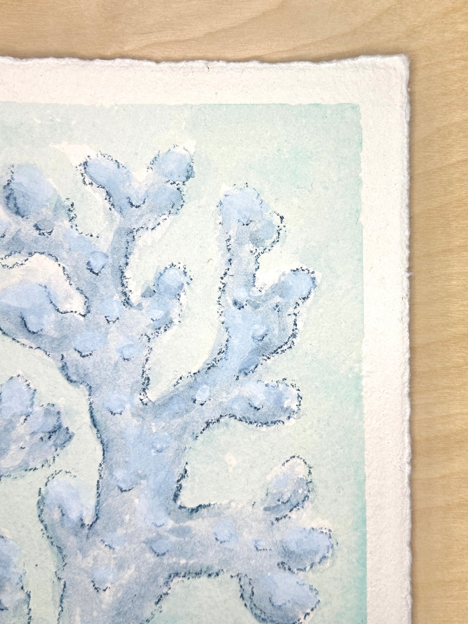 Blue Coral No. 1