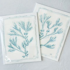 Blue Sea Kelp No. 3