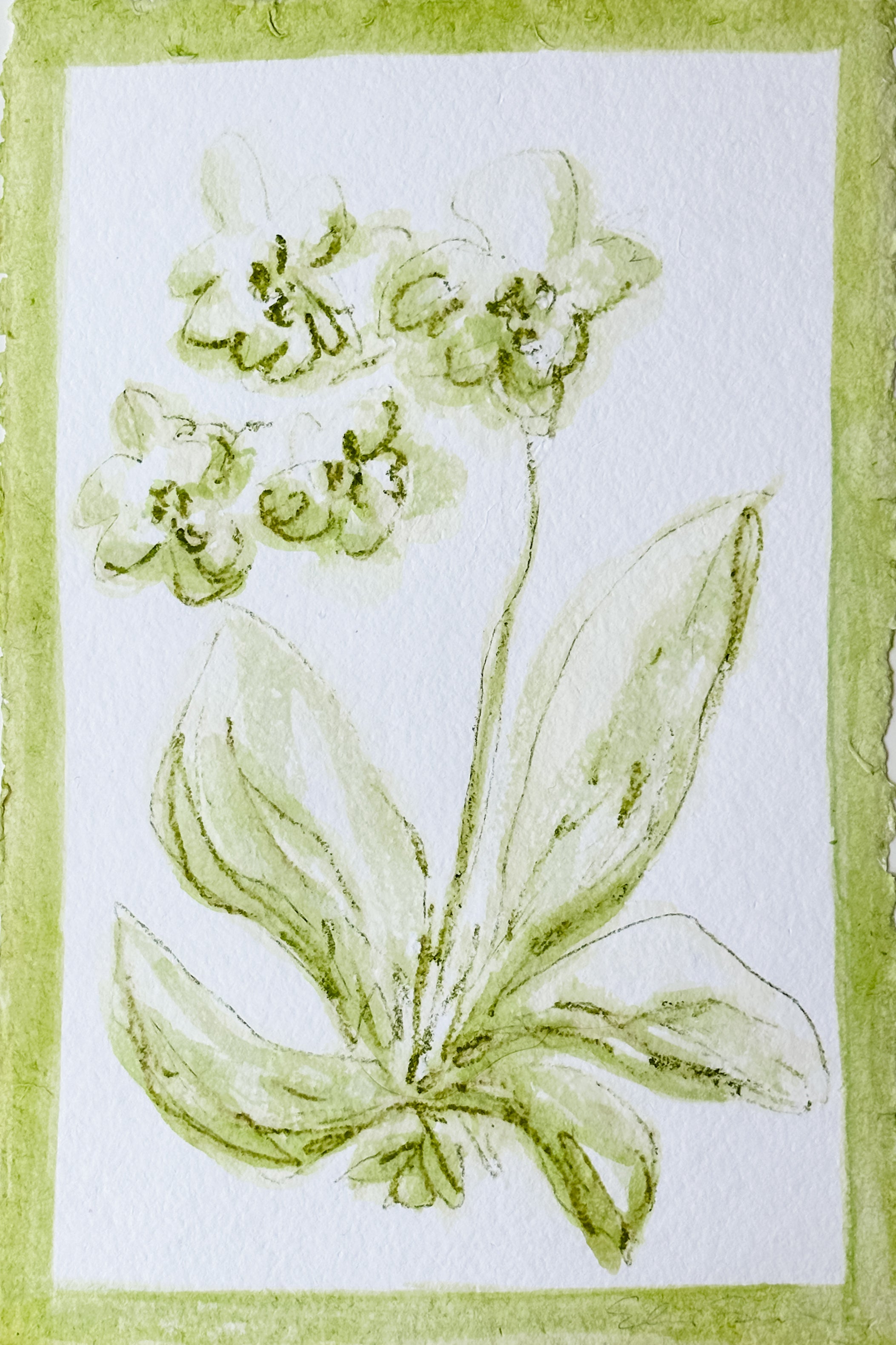 Toile Orchid No. 1