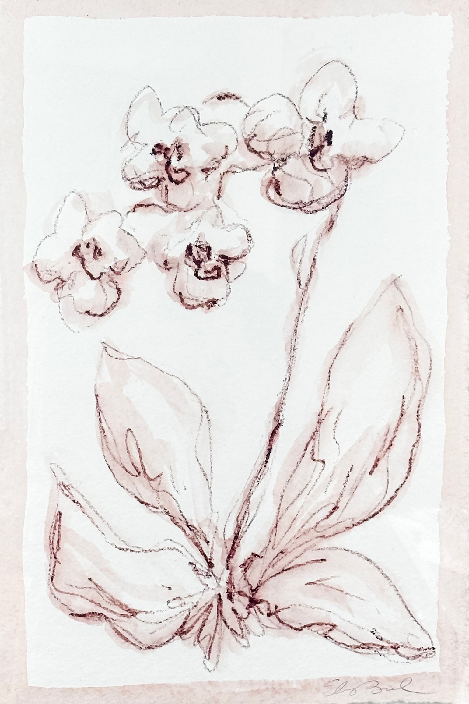Toile Orchid No. 2