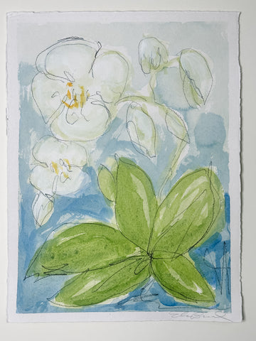 Wild Orchid No. 5