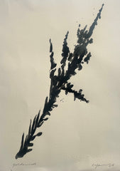 Goldenrod Shadow
