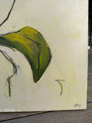 Orchid Study