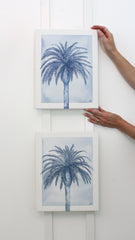 Indigo Palm III